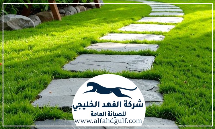 شركة تركيب عشب صناعي في كلباء