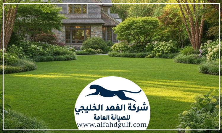 شركة تركيب عشب صناعي في كلباء