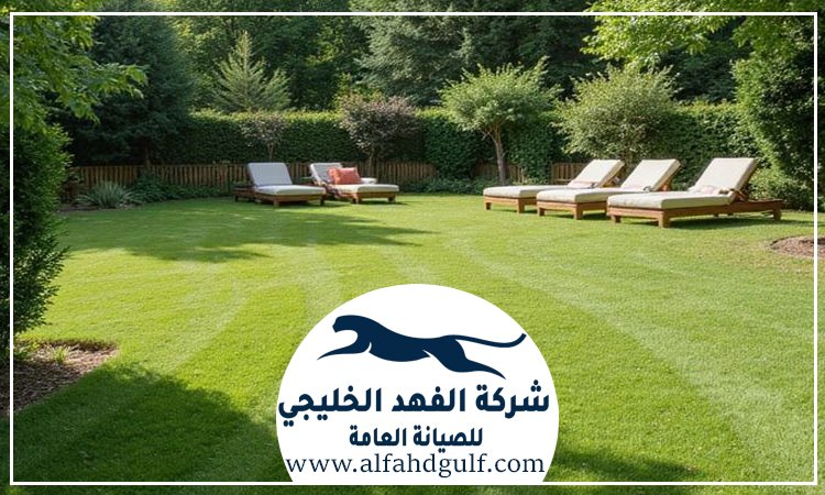 شركة تركيب عشب صناعي في بني ياس