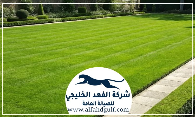 شركة تركيب عشب صناعي في بني ياس