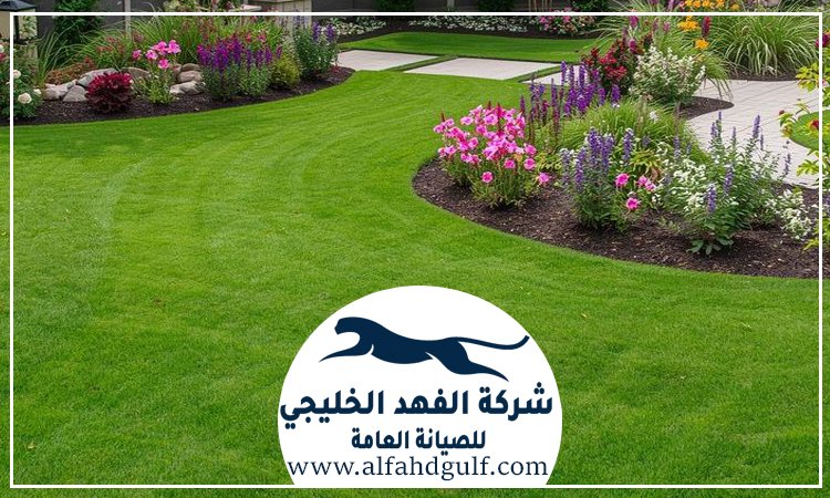 شركة تركيب عشب صناعي في البرشاء