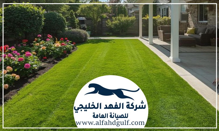 شركة تركيب عشب صناعي في البرشاء