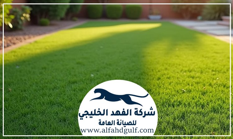 شركة تركيب عشب صناعي في الشامخة