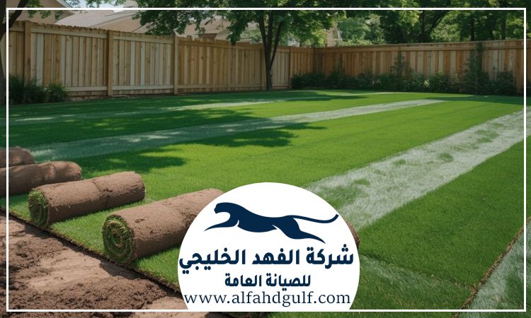شركة تركيب عشب صناعي في العين