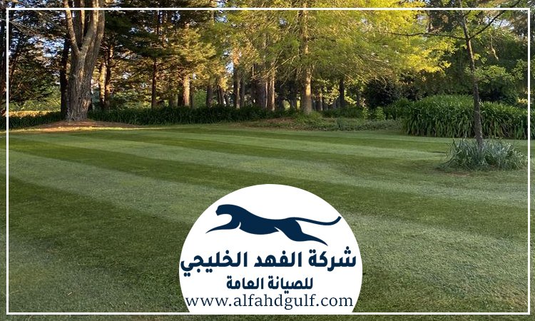 شركة تركيب عشب صناعي في الفجيرة