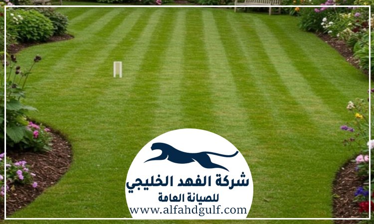 شركة تركيب عشب صناعي في الفجيرة
