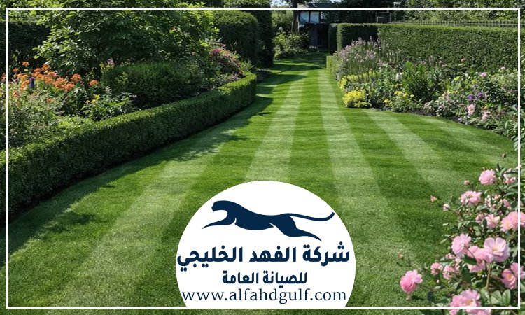 شركة تركيب عشب صناعي في الفجيرة