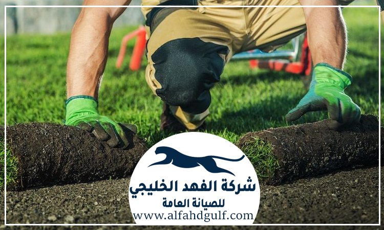 شركة تركيب عشب طبيعي في العين
