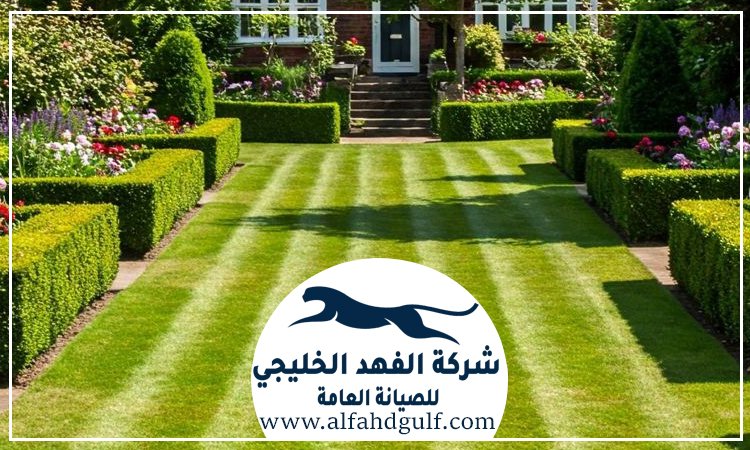 شركة تركيب عشب صناعي في الفجيرة