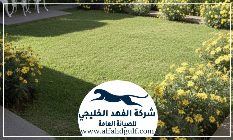 شركة تركيب عشب طبيعي في جميرا