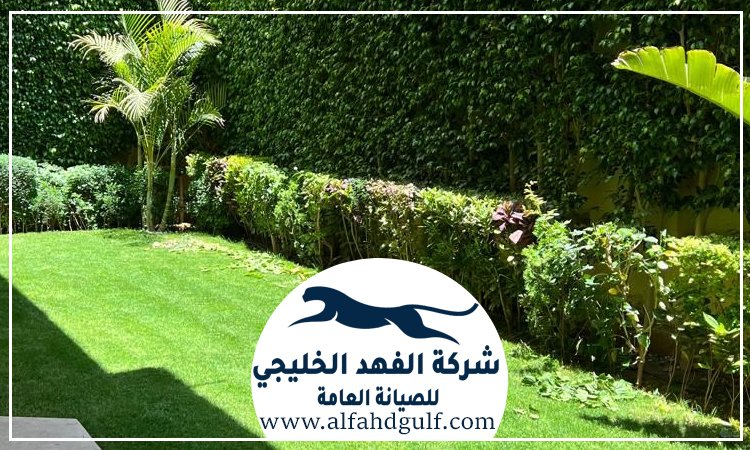 شركة تركيب عشب طبيعي في جميرا