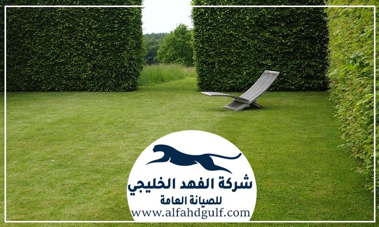 شركة تركيب عشب طبيعي في الذيد