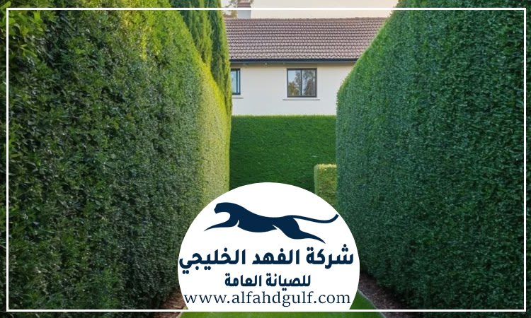 شركة تركيب عشب طبيعي في الذيد