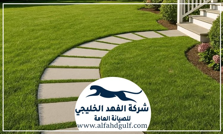 شركة تركيب عشب طبيعي في الشهامة