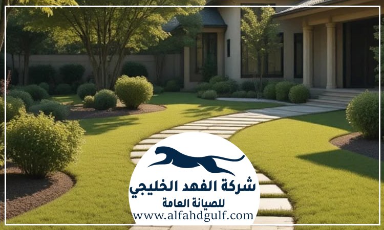 شركة تركيب عشب طبيعي في الشهامة