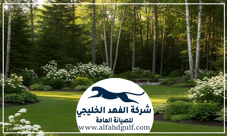 شركة تركيب عشب طبيعي في مصفح