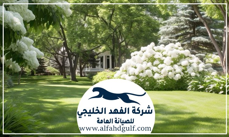 شركة تركيب عشب طبيعي في مصفح
