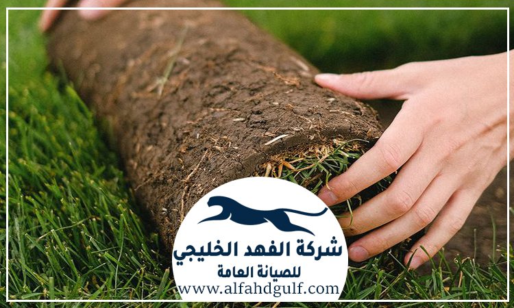 شركة تركيب عشب طبيعي في العين