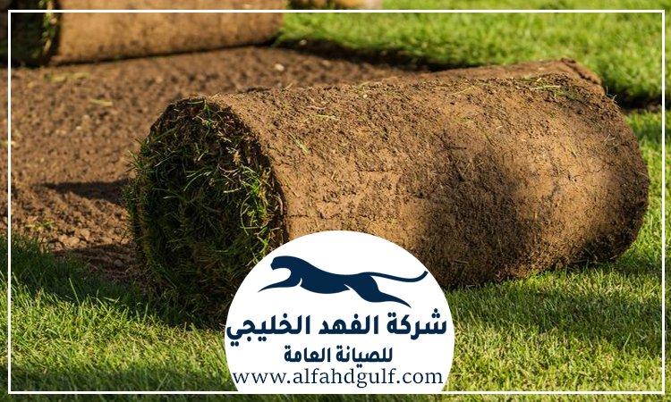 شركة تركيب عشب طبيعي في العين