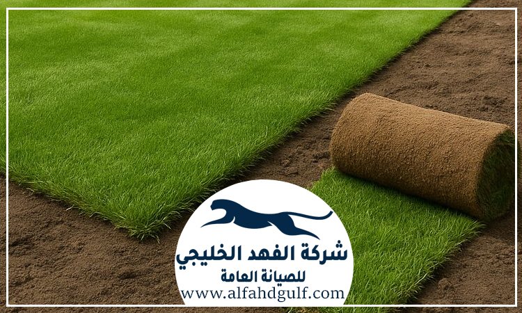 شركة تركيب عشب طبيعي في ابوظبي