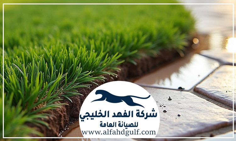 شركة تركيب عشب طبيعي في ابوظبي