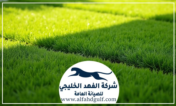 شركة تركيب عشب طبيعي في الشامخة