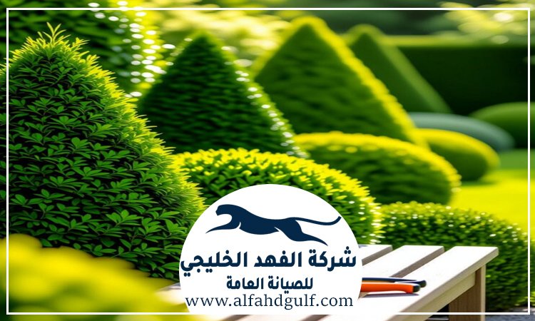 شركة تركيب عشب طبيعي في الشامخة