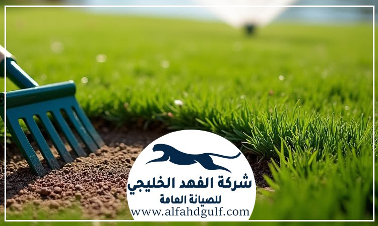 شركة تركيب عشب طبيعي في البرشاء
