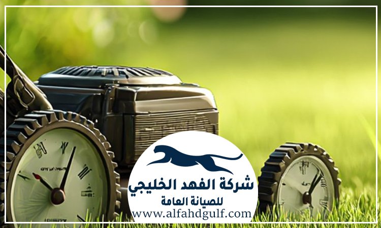 شركة تركيب عشب طبيعي في البرشاء