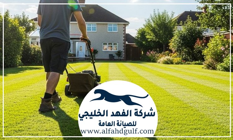 شركة تركيب عشب طبيعي في بني ياس