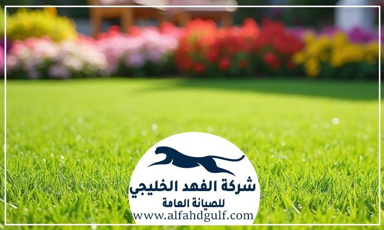 شركة تركيب ترتان في جميرا