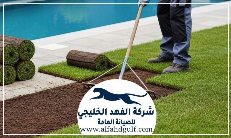 شركة تركيب عشب طبيعي في كلباء