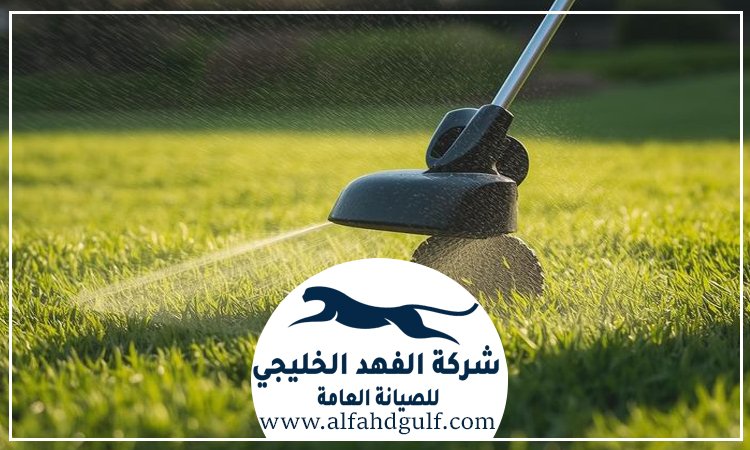 شركة تركيب عشب طبيعي في كلباء