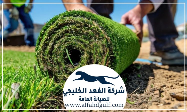شركة تركيب ترتان في الذيد
