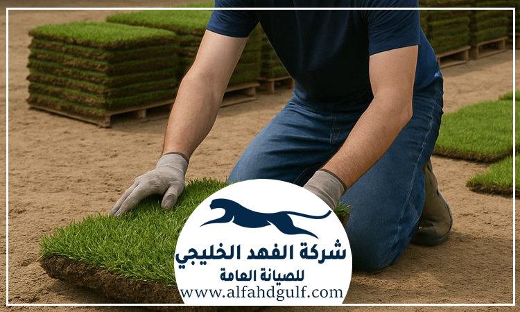 شركة تركيب عشب طبيعي في كلباء