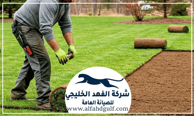 شركة تركيب عشب طبيعي في عجمان