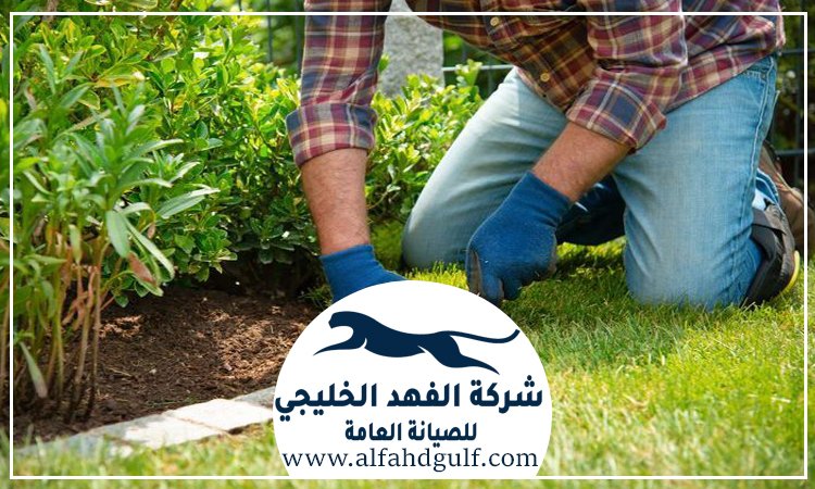 شركة تركيب ترتان في الذيد