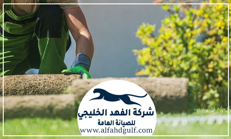 شركة تركيب عشب طبيعي في خورفكان