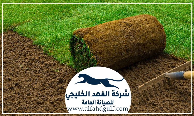شركة تركيب عشب طبيعي في خورفكان