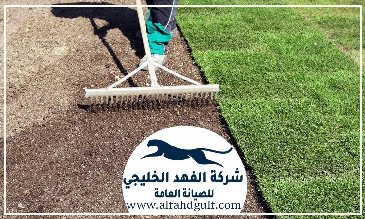 شركة تركيب ترتان في الذيد