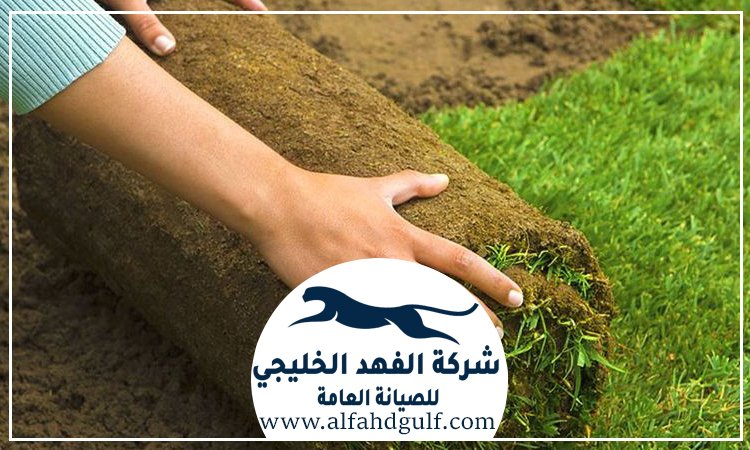 شركة تركيب عشب طبيعي في خورفكان