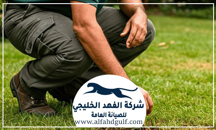 شركة تركيب ترتان في الشهامة