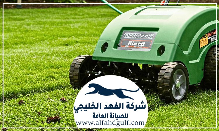 شركة تركيب عشب طبيعي في الرحبة