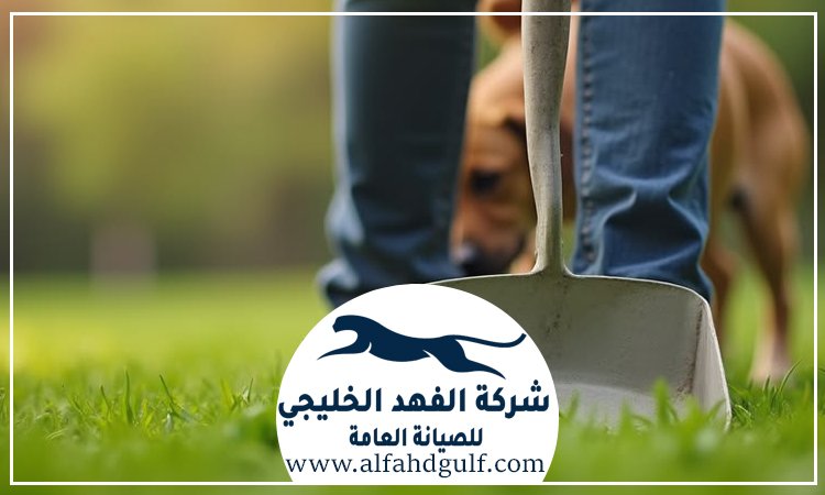 شركة تركيب ترتان في مصفح