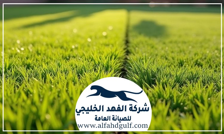 شركة تركيب ترتان في الرحبة