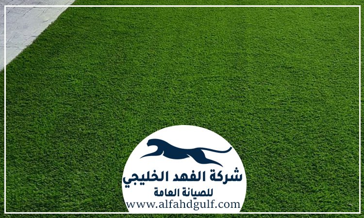شركة تركيب عشب صناعي في ام القيوين
