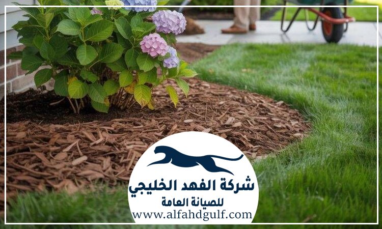 شركة تركيب عشب طبيعي في راس الخيمة