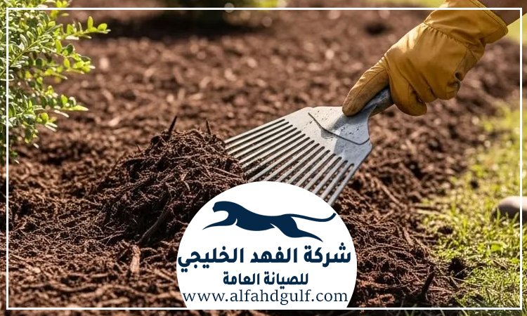 شركة تركيب عشب طبيعي في راس الخيمة
