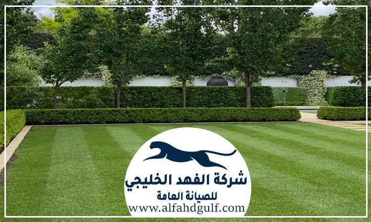 شركة تركيب ترتان في كلباء