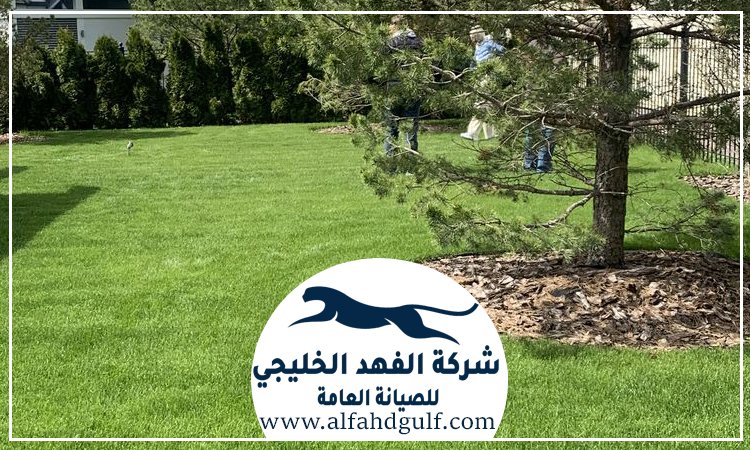 شركة تركيب ترتان في بني ياس